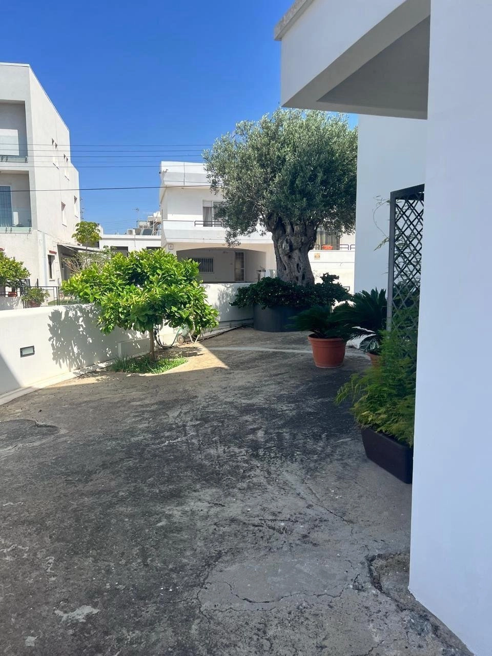 300m² Office for Rent in Limassol – Kapsalos