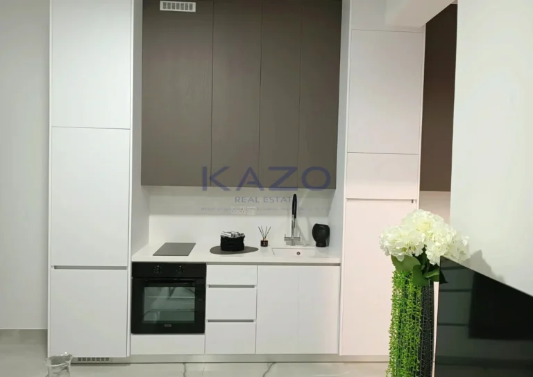 1 Bedroom Apartment for Rent in Limassol District