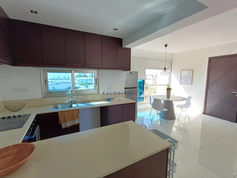 2 Bedroom Apartment for Rent in Larnaca District