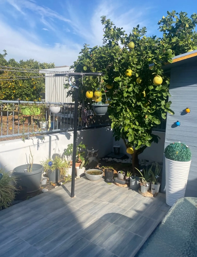 Houses for Sale in Cyprus