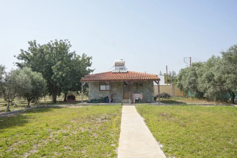 5 Bedroom House for Sale in Alethriko, Larnaca District