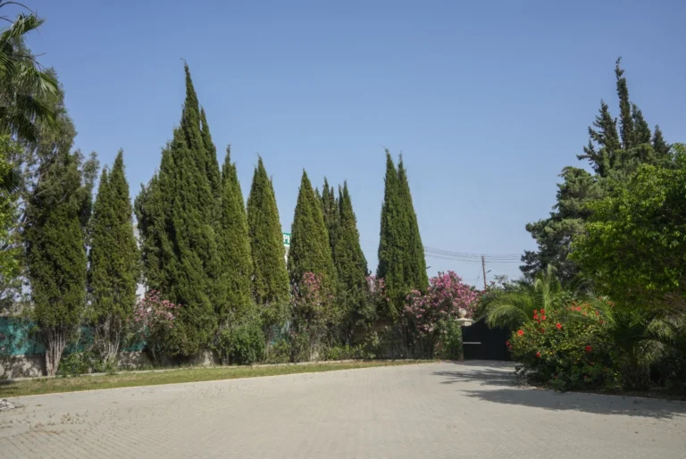 5 Bedroom House for Sale in Alethriko, Larnaca District