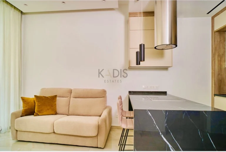 1 Bedroom Apartment for Rent in Limassol District