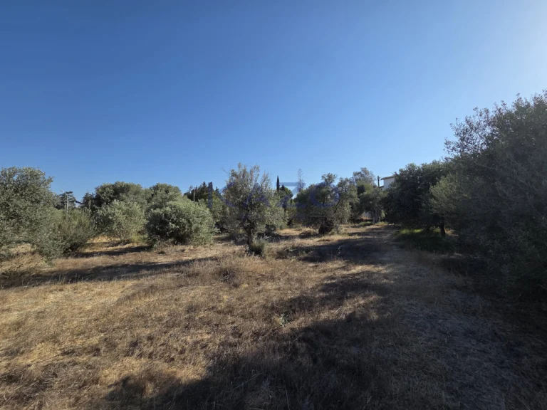 2,340m² Plot for Sale in Erimi, Limassol District