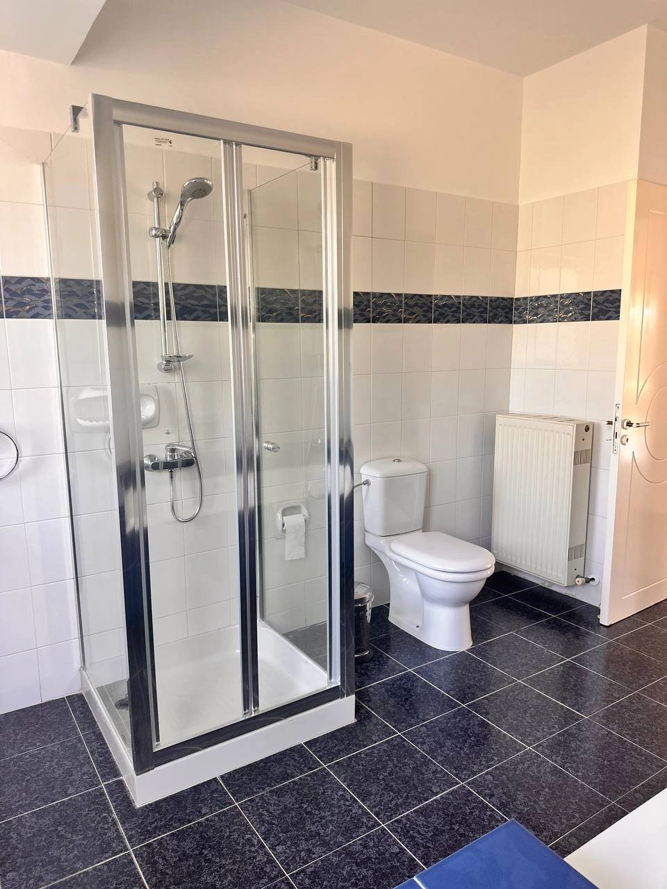6+ Bedroom House for Rent in Potamos Germasogeias, Limassol District