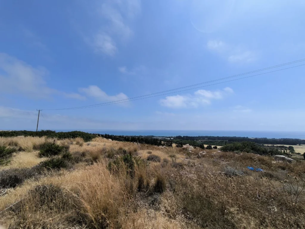 20,000m² Plot for Sale in Aphrodite Hills Kouklia, Paphos District