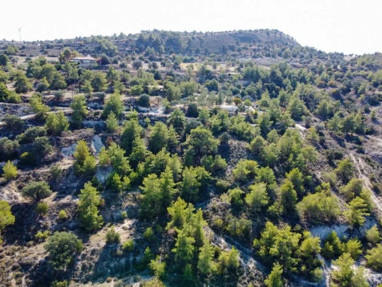 5,732m² Plot for Sale in Psevdas, Larnaca District