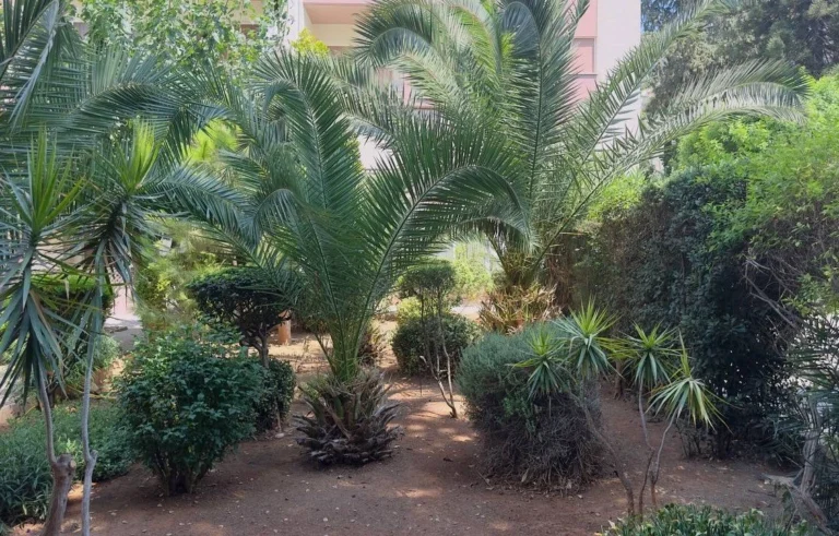 3 Bedroom Apartment for Sale in Limassol – Agios Athanasios