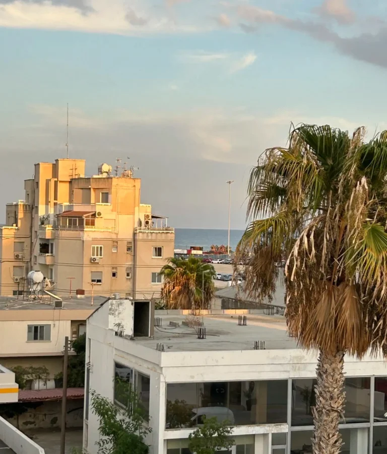 3 Bedroom Apartment for Sale in Larnaca – Chrysopolitissa