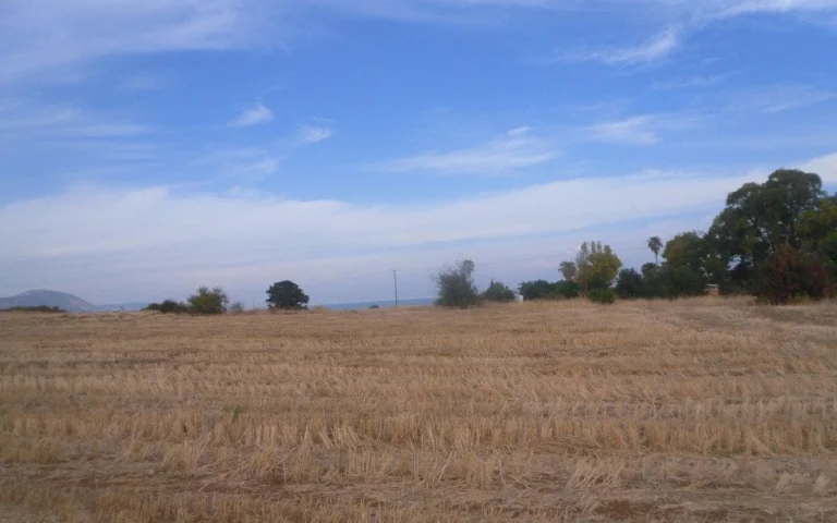 for Sale in Polis Chrysochous, Paphos District