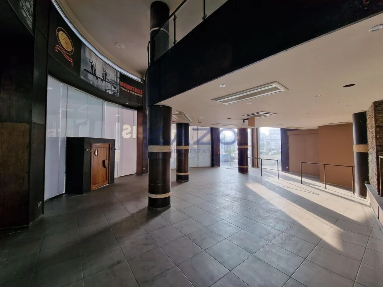 251m² Commercial for Sale in Agioi Omologites, Nicosia District