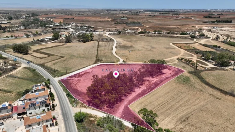8,750m² Plot for Sale in Avgorou, Famagusta District