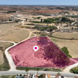 8,750m² Plot for Sale in Avgorou, Famagusta District