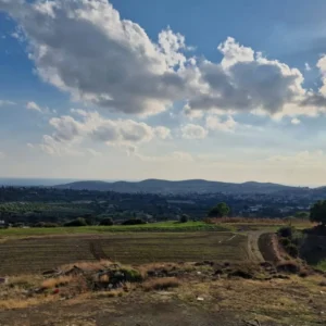 4 Bedroom House for Sale in Pyrgos Lemesou, Limassol District