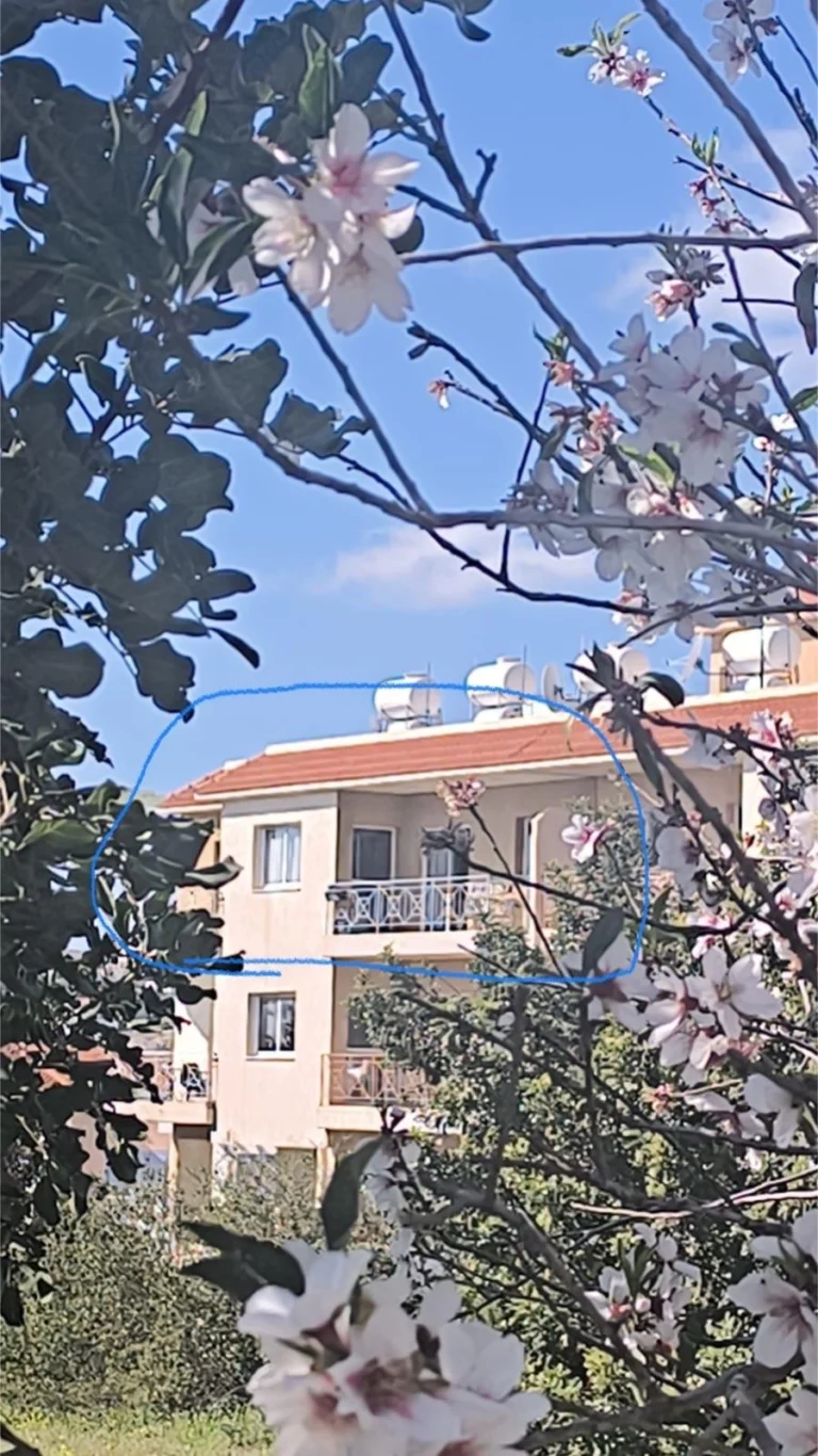 1 Bedroom Apartment for Sale in Pegeia, Paphos District