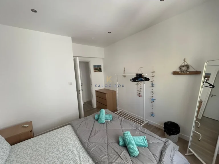 2 Bedroom Apartment for Rent in Larnaca District
