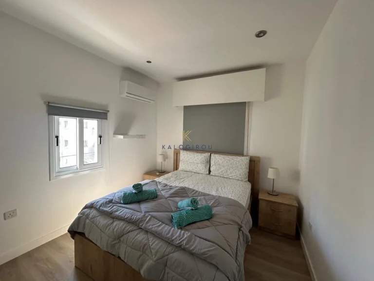 2 Bedroom Apartment for Rent in Larnaca District