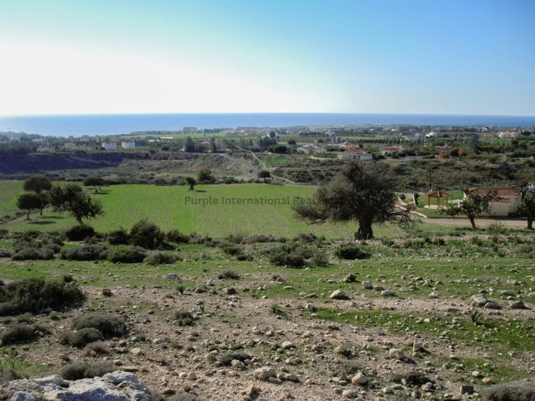 12,496m² Plot for Sale in Peyia, Paphos District
