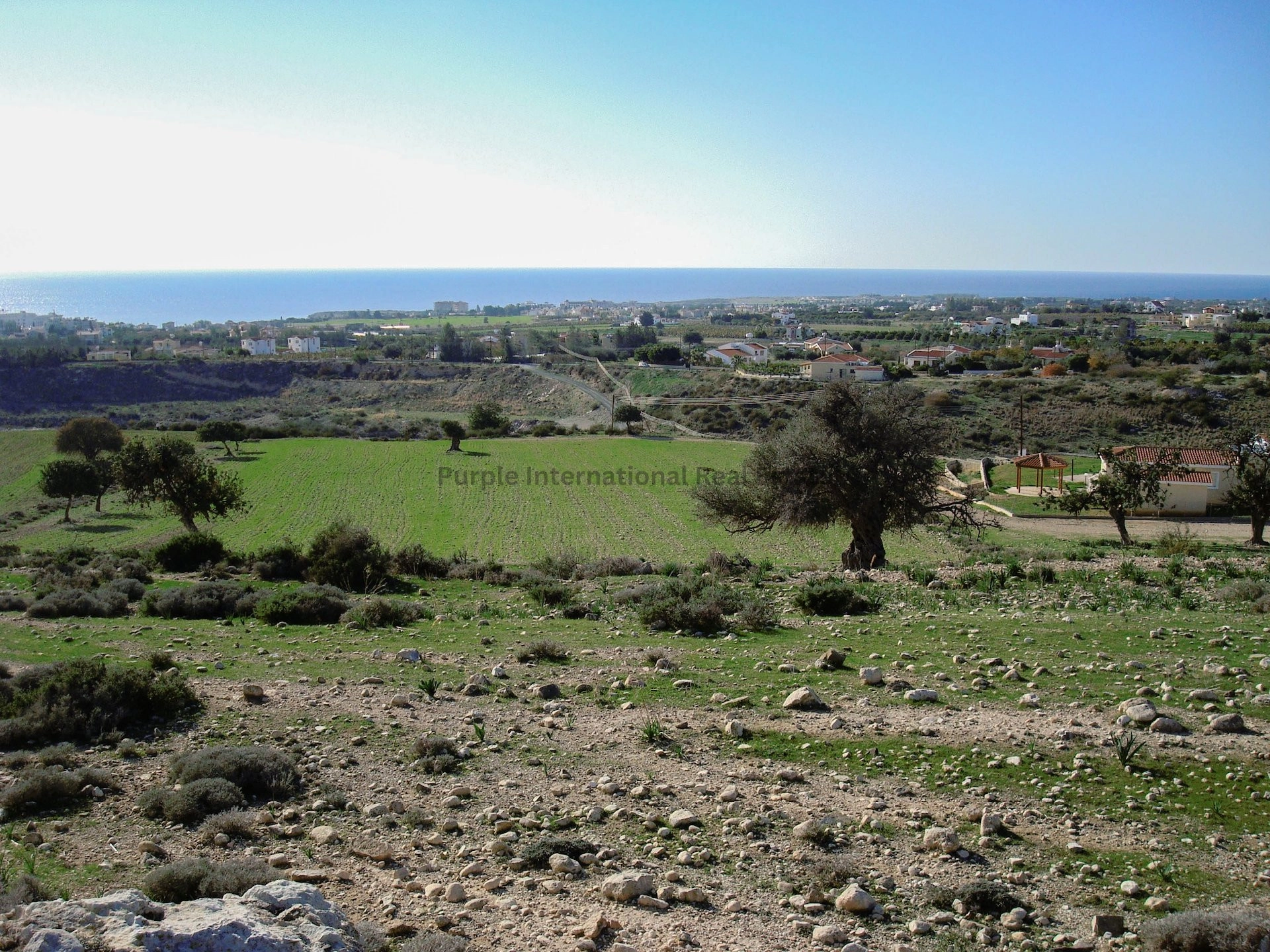 12,496m² Plot for Sale in Peyia, Paphos District