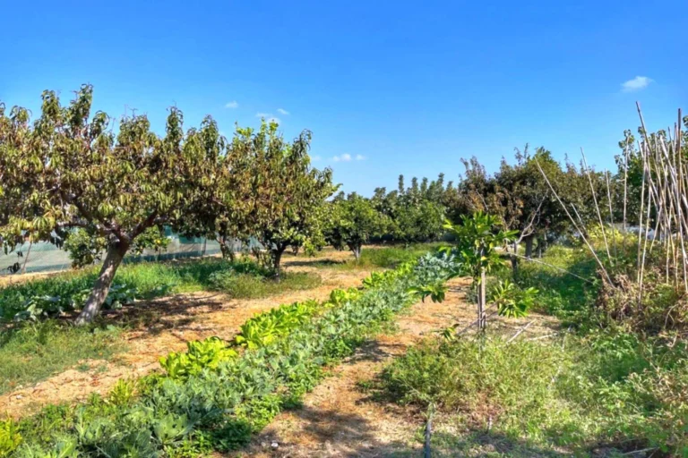 3 Bedroom House for Sale in Maroni, Larnaca District