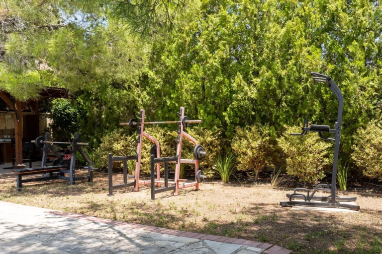 6+ Bedroom House for Sale in Souni, Limassol District