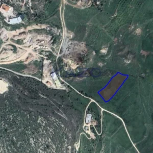 5,017m² Plot for Sale in Agia Varvara, Paphos District