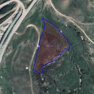 10,368m² Plot for Sale in Agia Varvara, Paphos District