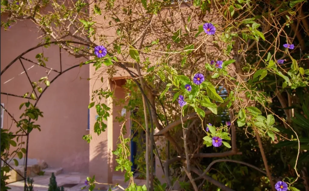 3 Bedroom House for Sale in Kato Paphos