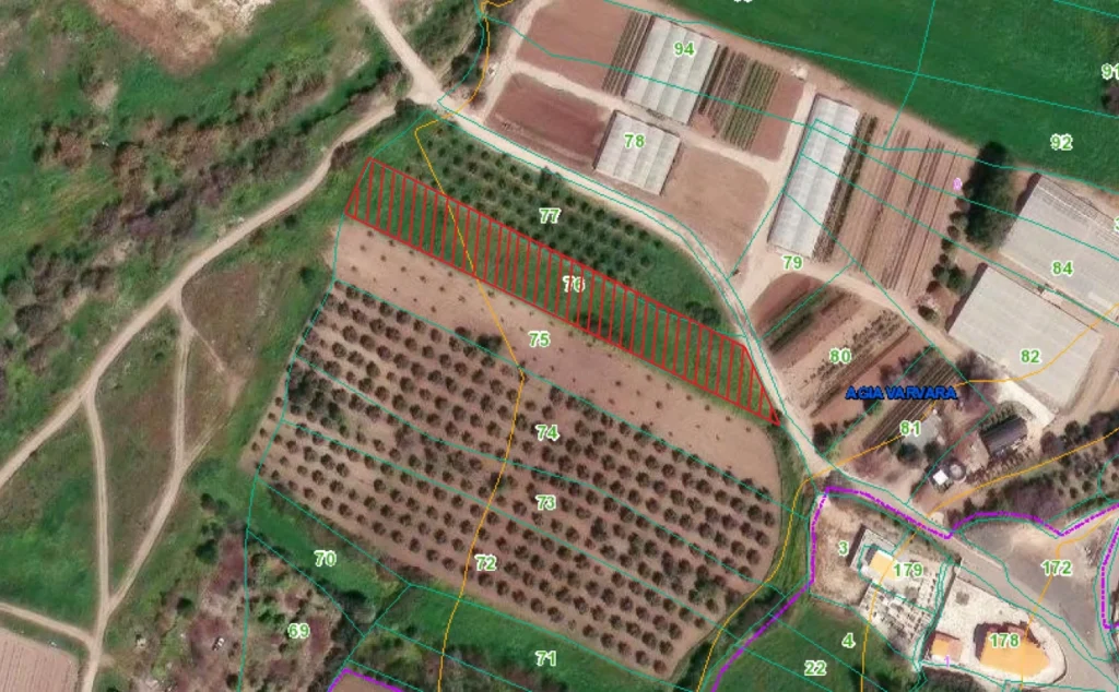 3,345m² Plot for Sale in Agia Varvara, Paphos District