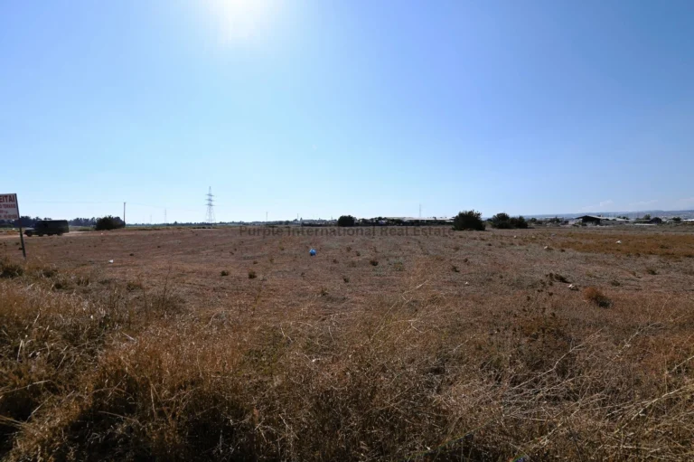 10,369m² Plot for Sale in Ypsonas, Limassol District