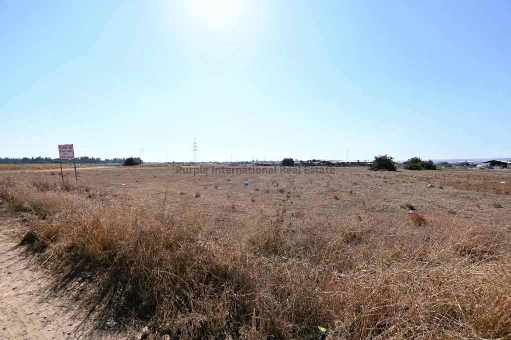 10,369m² Plot for Sale in Ypsonas, Limassol District