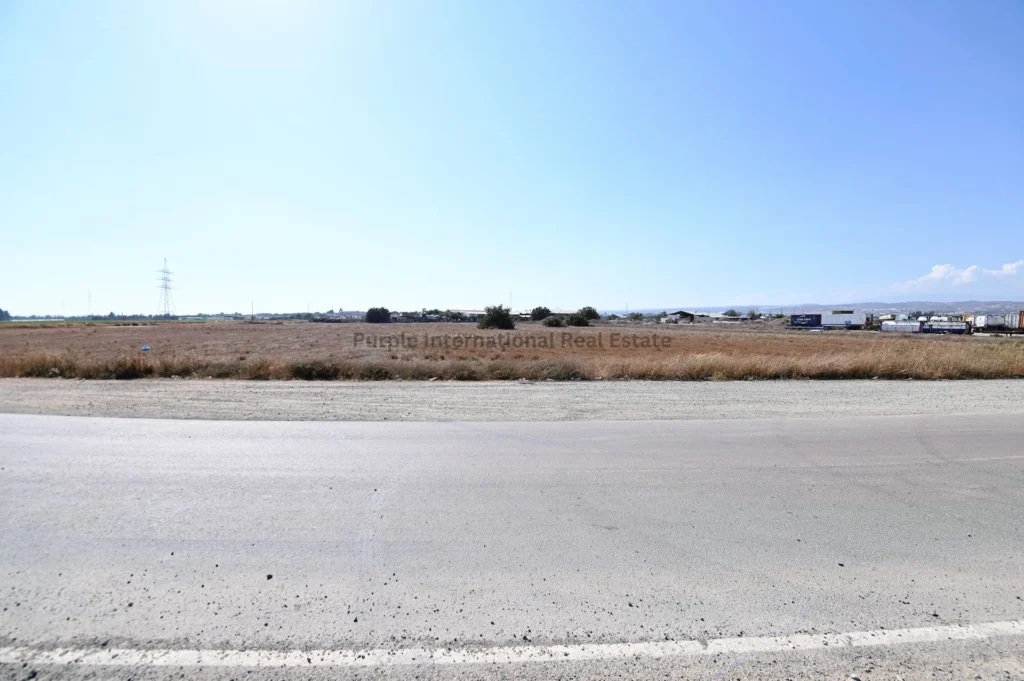 10,369m² Plot for Sale in Ypsonas, Limassol District