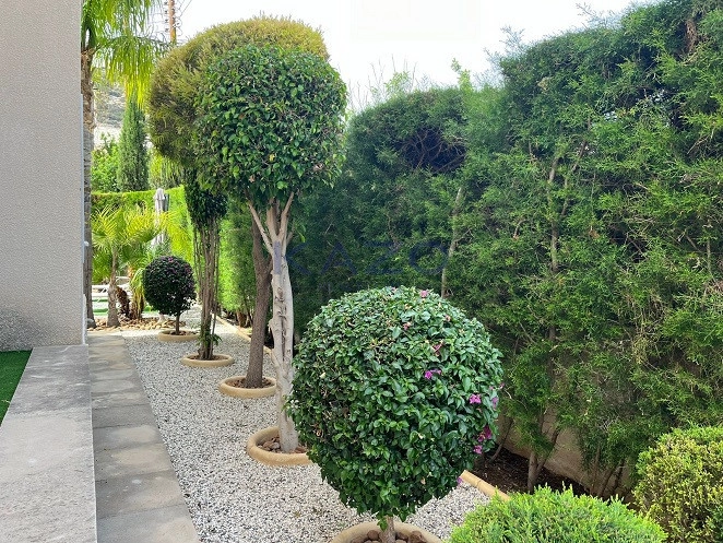 3 Bedroom House for Sale in Pegeia, Paphos District