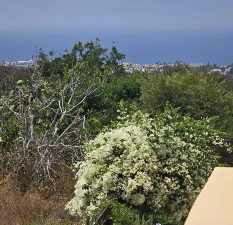 2 Bedroom Apartment for Sale in Tala, Paphos District