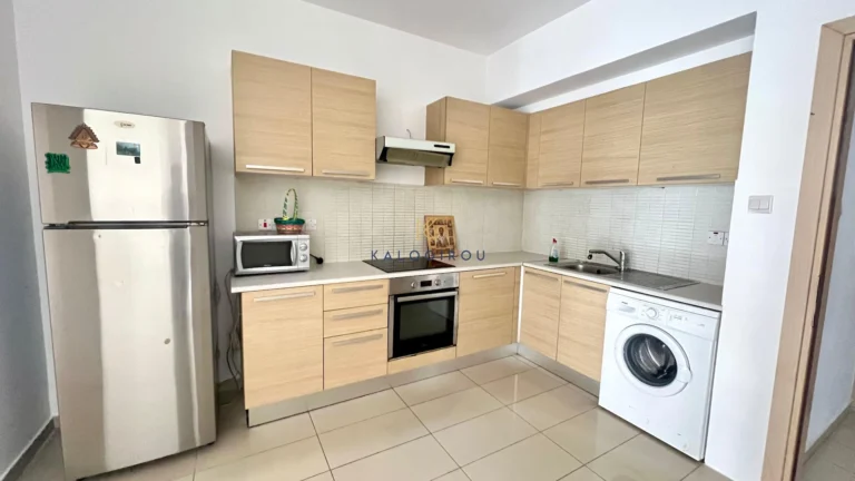 2 Bedroom Apartment for Rent in Tersefanou, Larnaca District