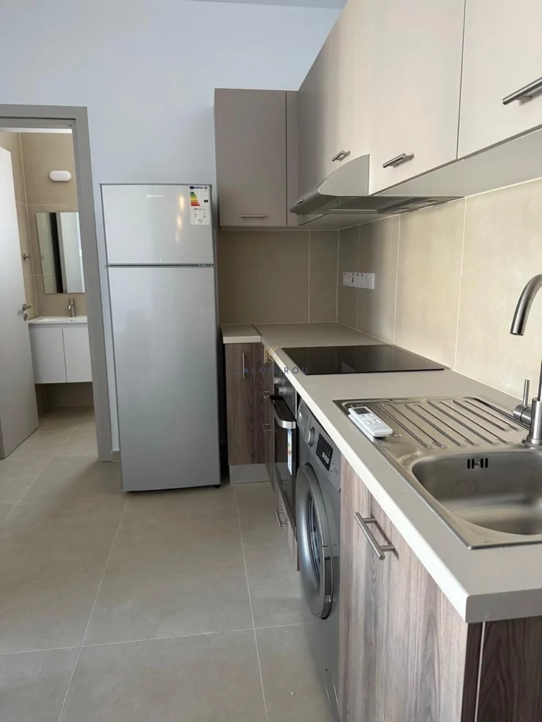 1 Bedroom Apartment for Rent in Aglantzia, Nicosia District