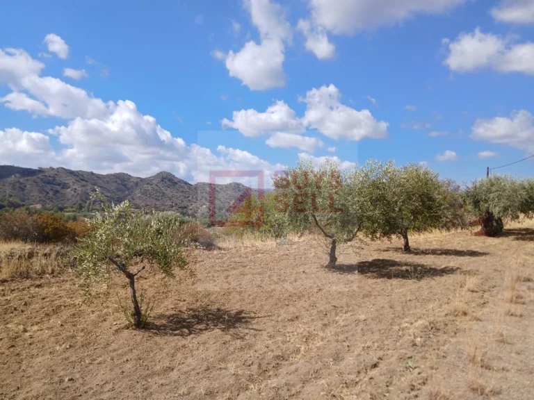 10,368m² Plot for Sale in Kalo Chorio Lemesou, Limassol District