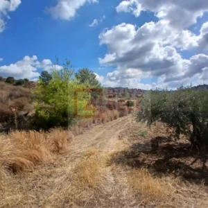 10,368m² Plot for Sale in Kalo Chorio Lemesou, Limassol District