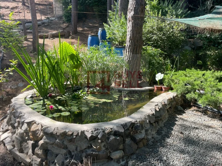 3 Bedroom House for Rent in Kapedes, Nicosia District