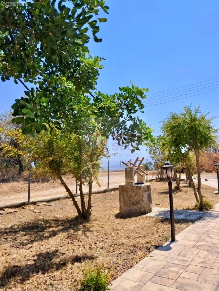 Cheap Houses and Villas for Rent Limassol