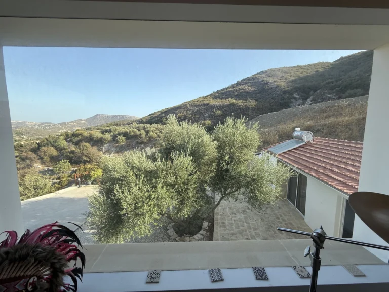 4 Bedroom House for Sale in Akrounta, Limassol District