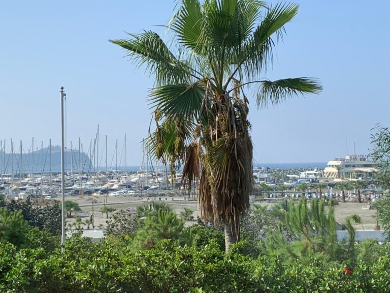 3 Bedroom Apartment for Rent in Parekklisia Tourist Area, Limassol District