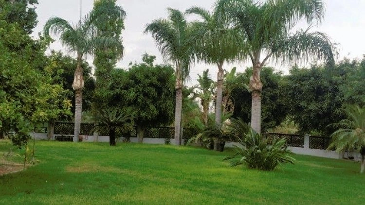 3 Bedroom House for Sale in Kapparis, Famagusta District