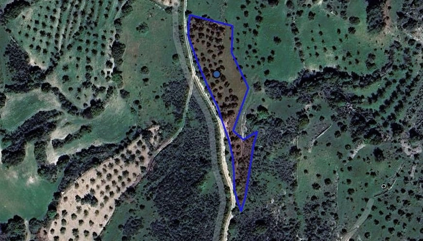 29,782m² Plot for Sale in Lysos, Paphos District