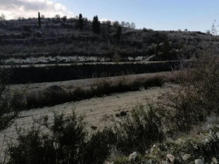13,156m² Plot for Sale in Kathikas, Paphos District