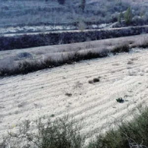 13,156m² Plot for Sale in Kathikas, Paphos District