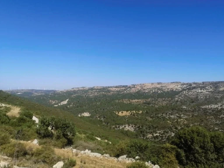 43,480m² Plot for Sale in Dora, Limassol District