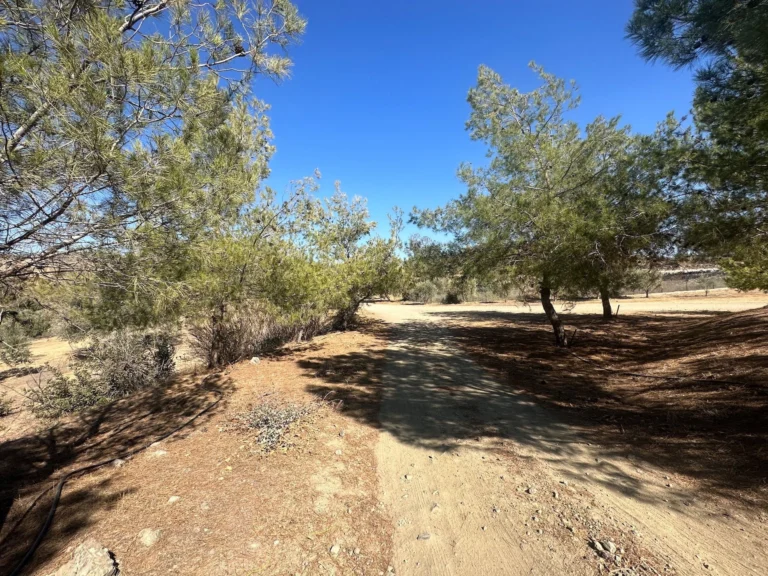 5 Bedroom House for Sale in Moni, Limassol District