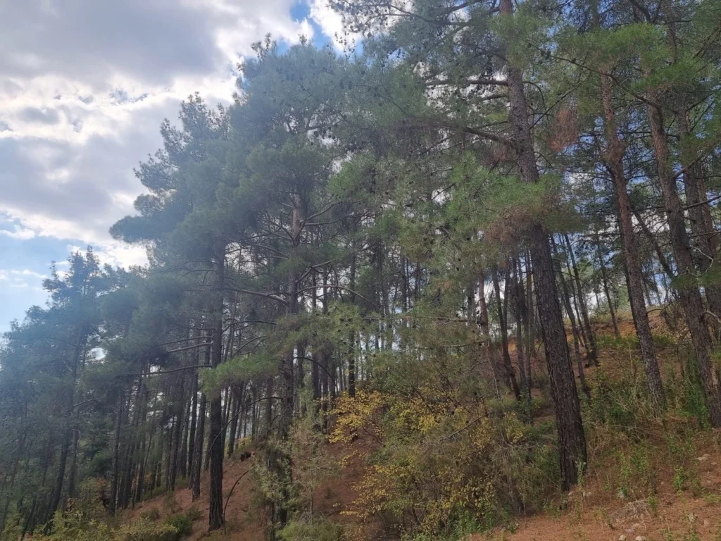 2,007m² Plot for Sale in Pano Platres, Limassol District