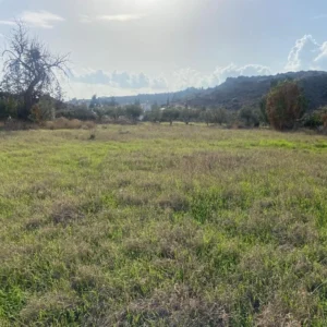 4,544m² Plot for Sale in Agios Tychonas, Limassol District